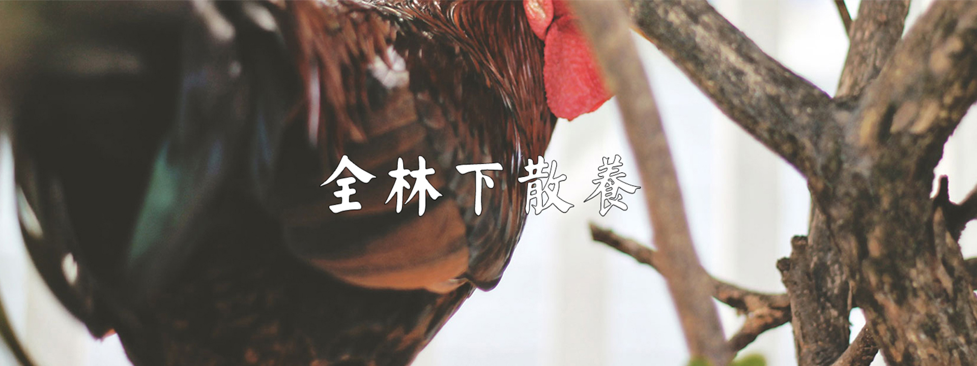 重庆花季传媒APP官方下载免费农产品配送有限公司